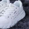 SxORA ChunkBase - available on Trone, South Africa